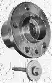 KEY PARTS kwb1196 -  Комплект подшипника ступицы колеса